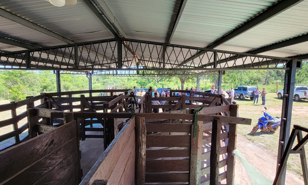 Carousel Image